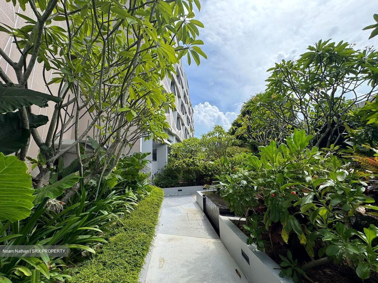 Harbour View Gardens (D5), Apartment #519846761